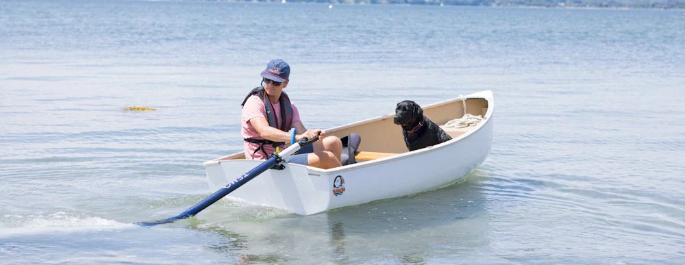 Why go electric in boating?