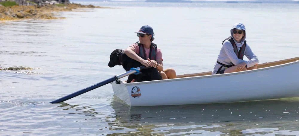 Le fabricant français de moteurs électriques pour bateaux s'implante aux États-Unis - TEMO