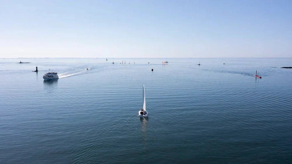 Bruits sous-marins des moteurs, niveaux et impacts : les résultats de notre grande étude - TEMO