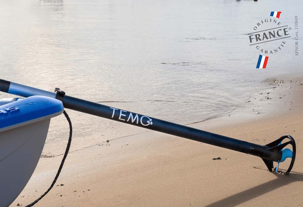 Moteur électrique TEMO·450 - TEMO