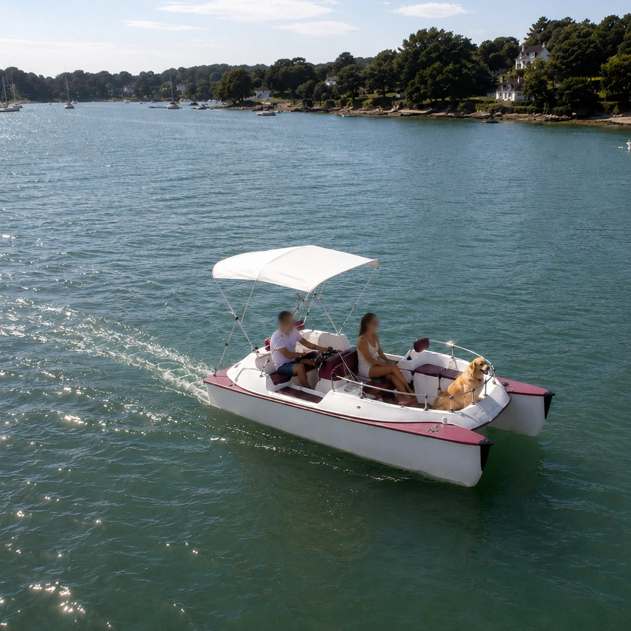 Obiboat électrifié avec les moteurs TEMO