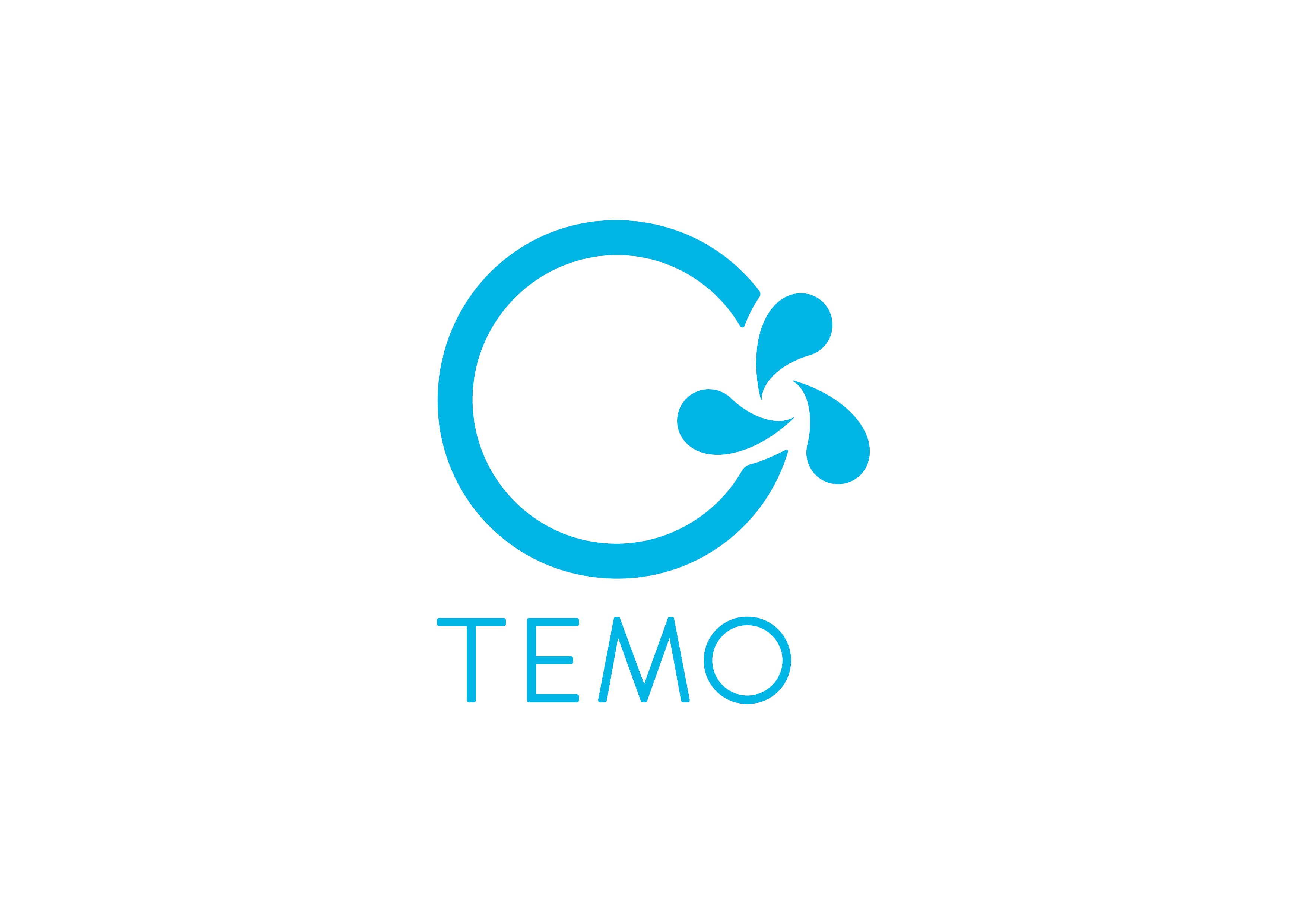 Compte instagram TEMO France