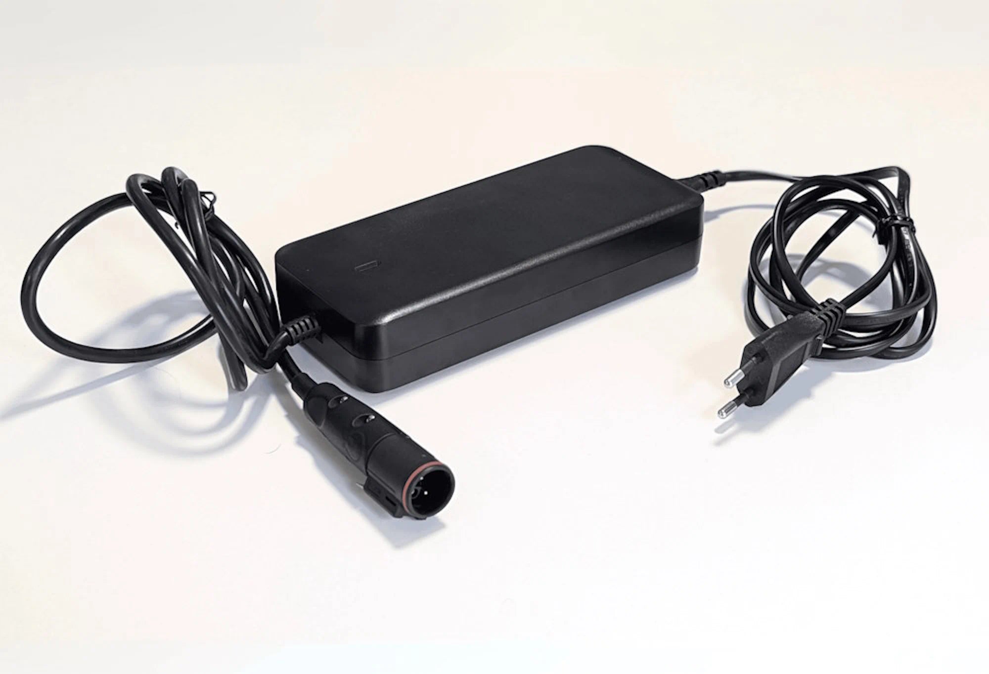 TEMO·1000 110 V battery charger - TEMO