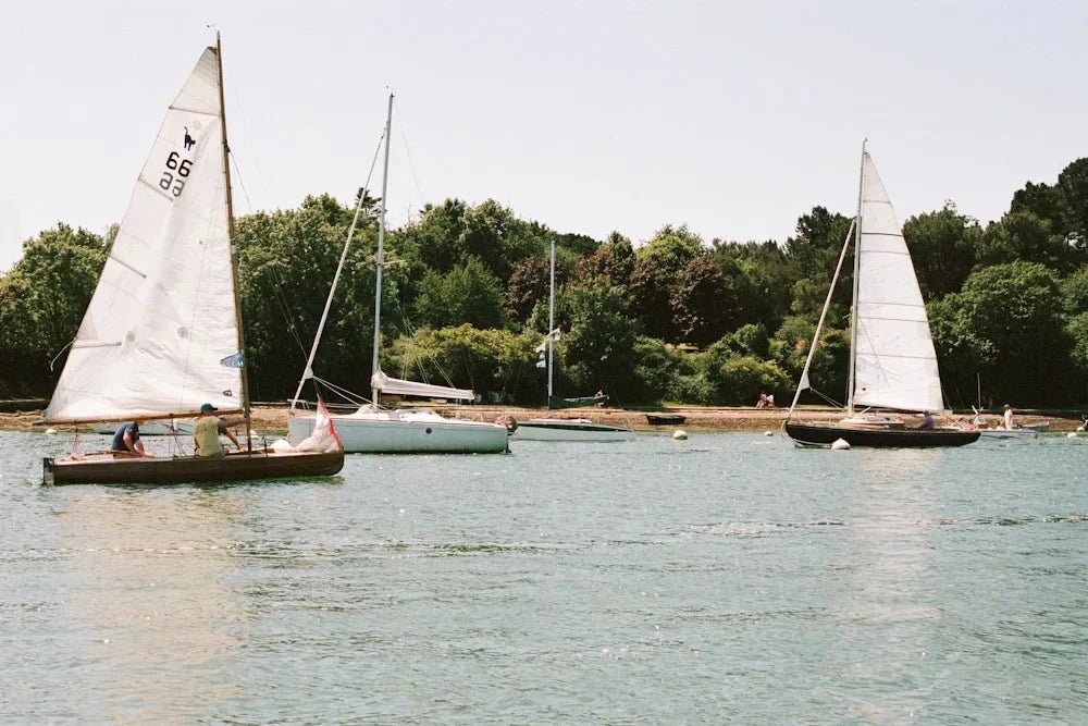 SPEED IS NONE OF OUR BUSINESS : l’esprit du “slow-sailing” selon TEMO - TEMO