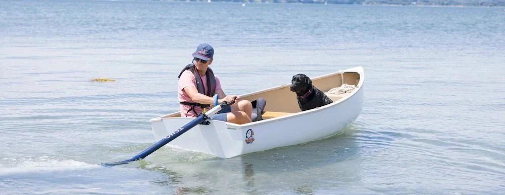 Why get an electric boat motor? - TEMO