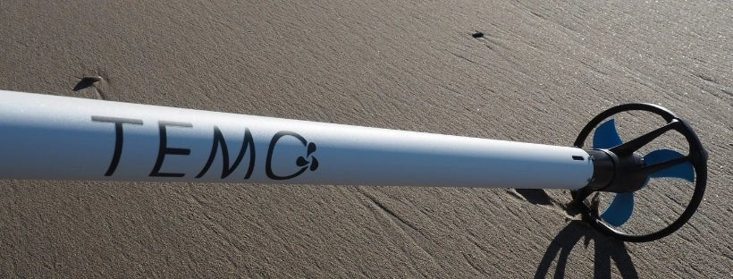 TEMO·450 “Nacre Édition” : une série limitée nacrée du moteur de 450W - TEMO