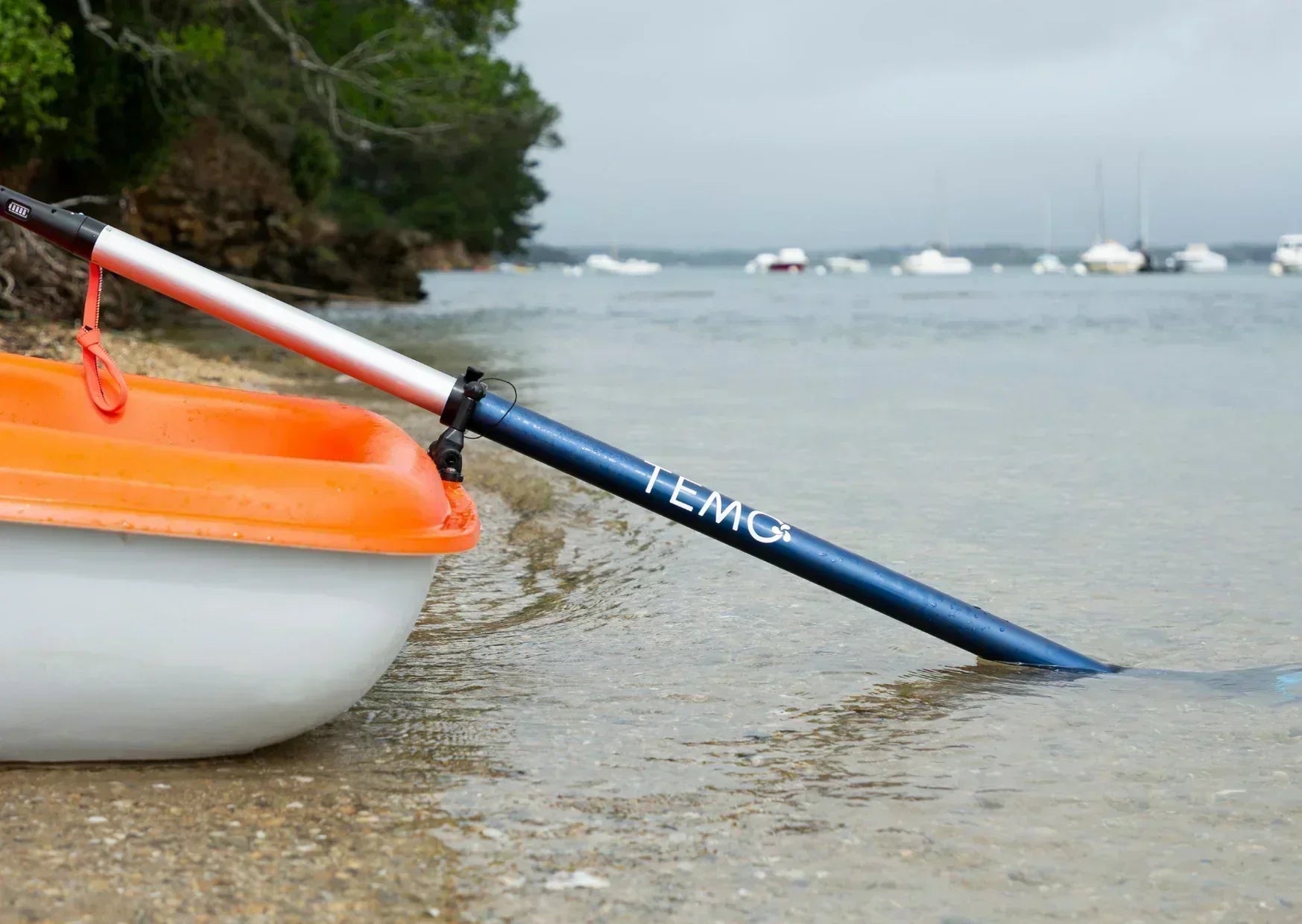 TEMO Tuto utilisation : installation de la dame de nage - TEMO