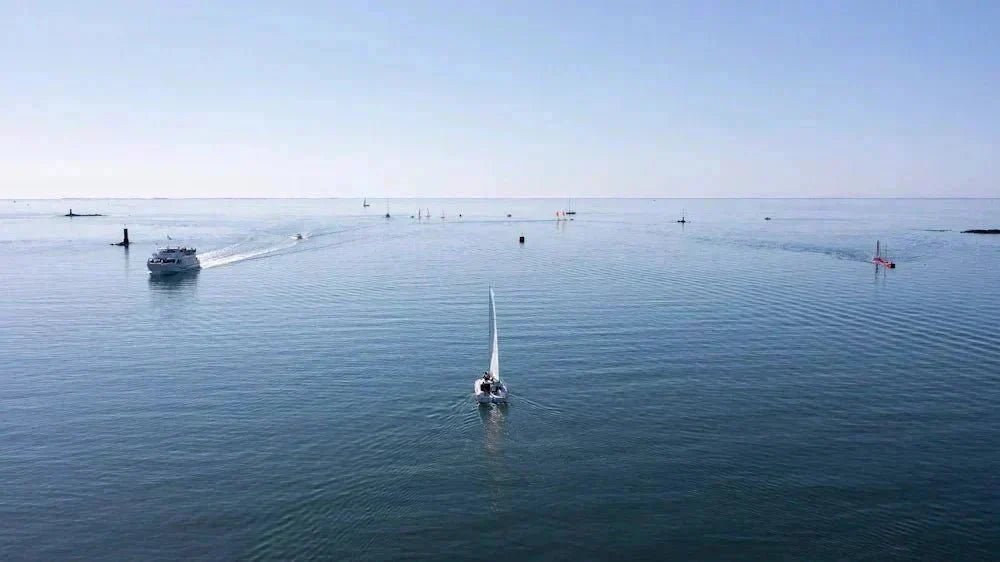What is the actual impact of underwater motors on the marine environment? - TEMO