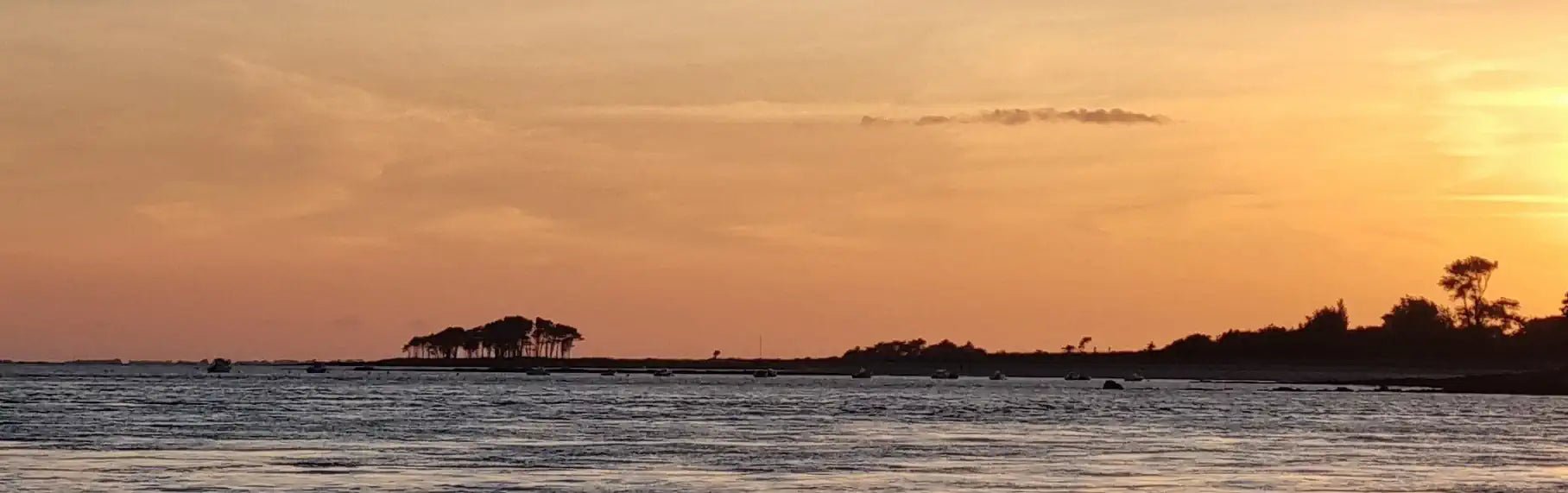 Mille sabords ! Ces expressions issues du langage marin - TEMO