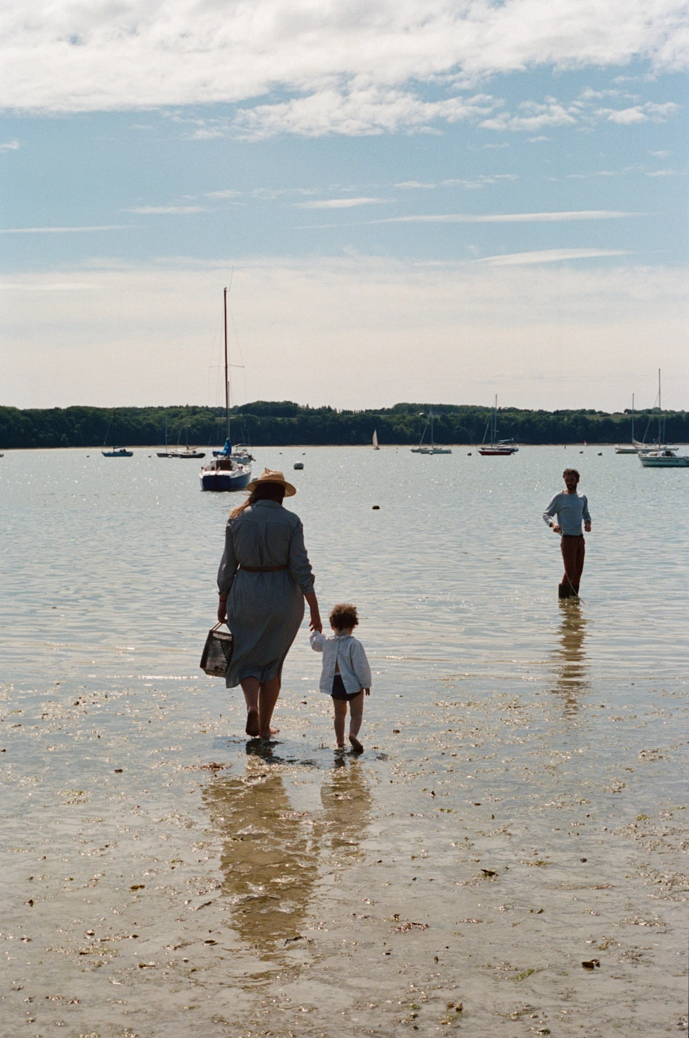 Valeur Durabilité TEMO