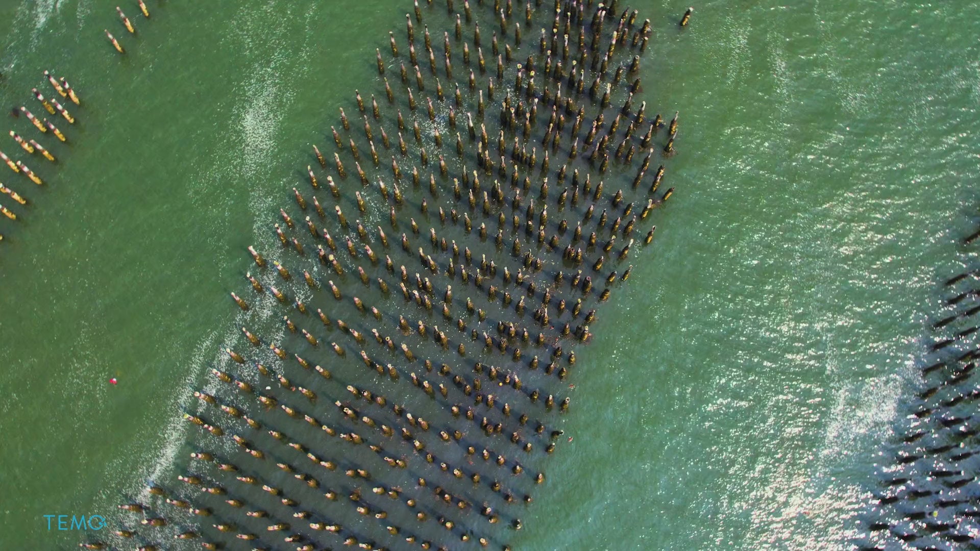 Load video: Testimonial of a TEMO·1000 user in Portland