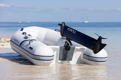 Moteur électrique TEMO·1000